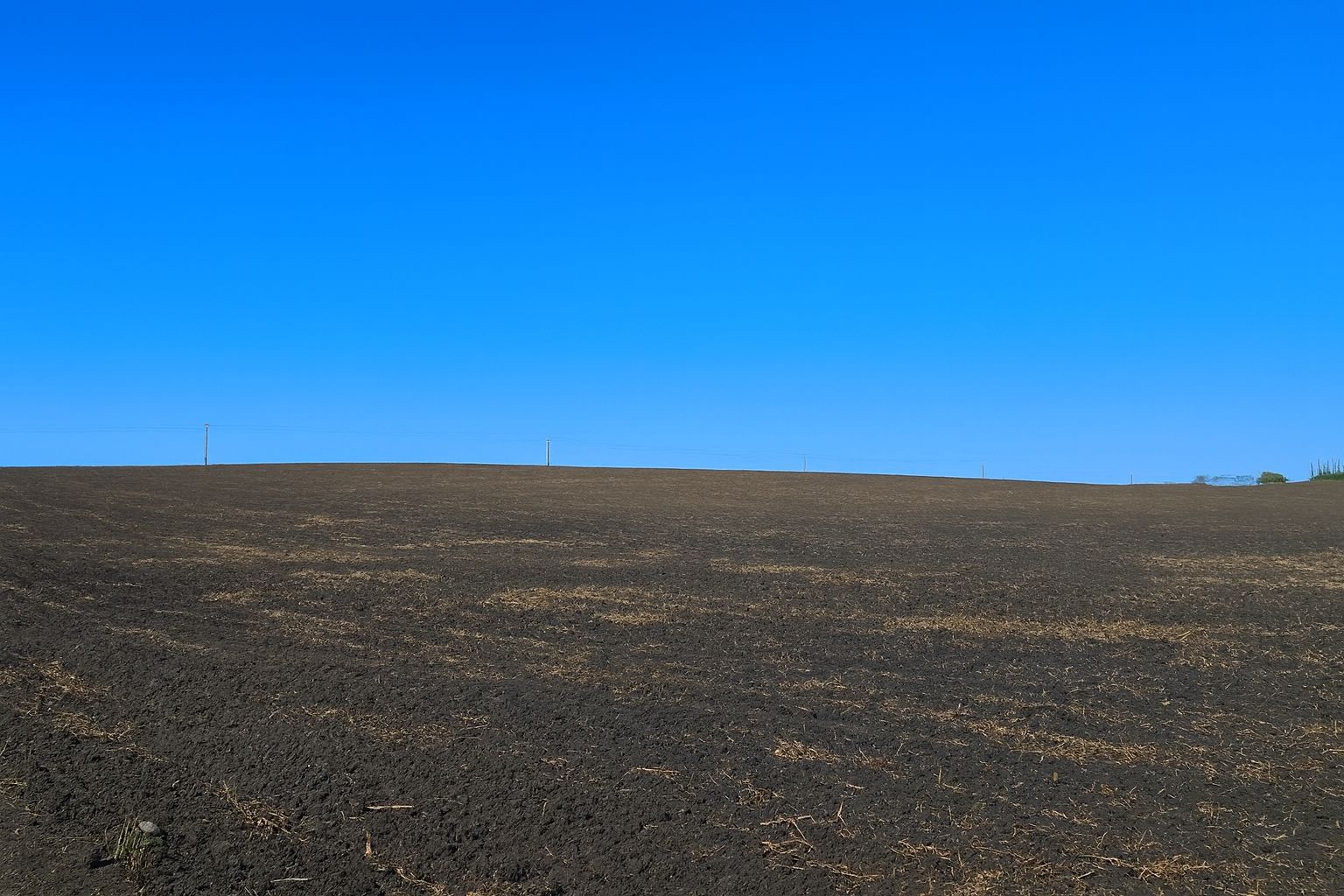 Listing Photo: West end of 80.39 acres in Faribault County, MN